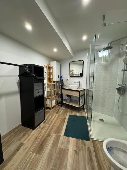 Joli Studio En Rez-De-Chaussee Saint Gaudens Extérieur photo