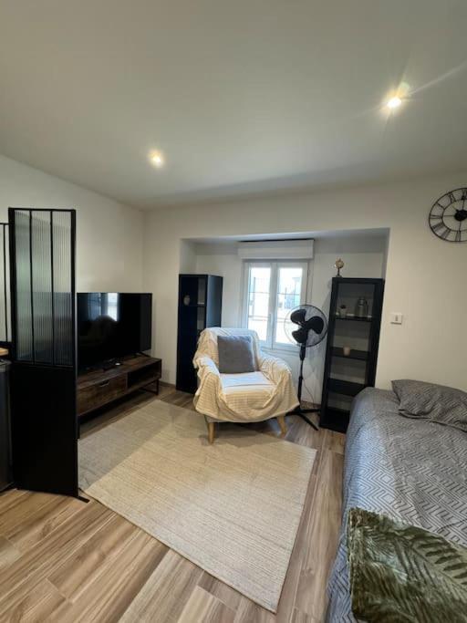 Joli Studio En Rez-De-Chaussee Saint Gaudens Extérieur photo